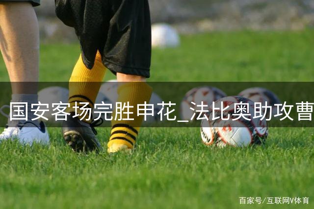 国安客场完胜申花 法比奥助攻曹永竞锁定胜局