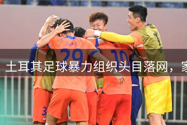 土耳其足球暴力组织头目落网，家中藏匿巨款达110万欧元