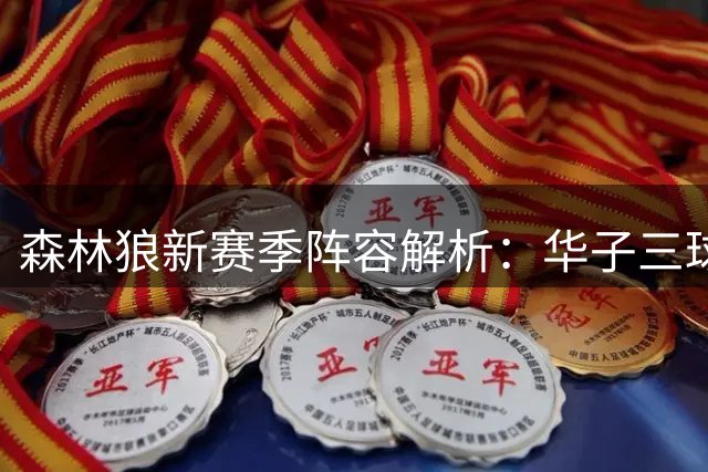 森林狼新赛季阵容解析：华子三球领衔首发 替补席人才济济