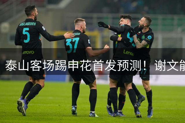 泰山客场踢申花首发预测！谢文能和马德鲁加停赛无缘，泽卡复出