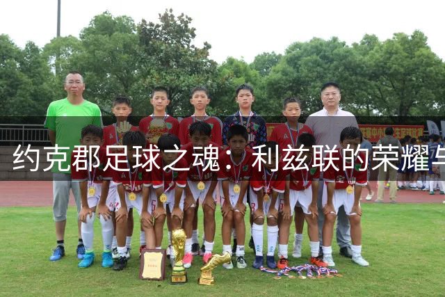 约克郡足球之魂：利兹联的荣耀与反叛