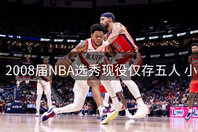 2008届NBA选秀现役仅存五人 小乔丹大洛成最后坚守者