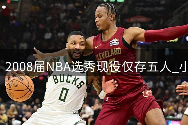 2008届NBA选秀现役仅存五人 小乔丹大洛成最后坚守者